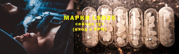 крисы Богданович