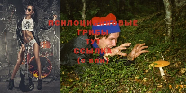метадон Богородицк